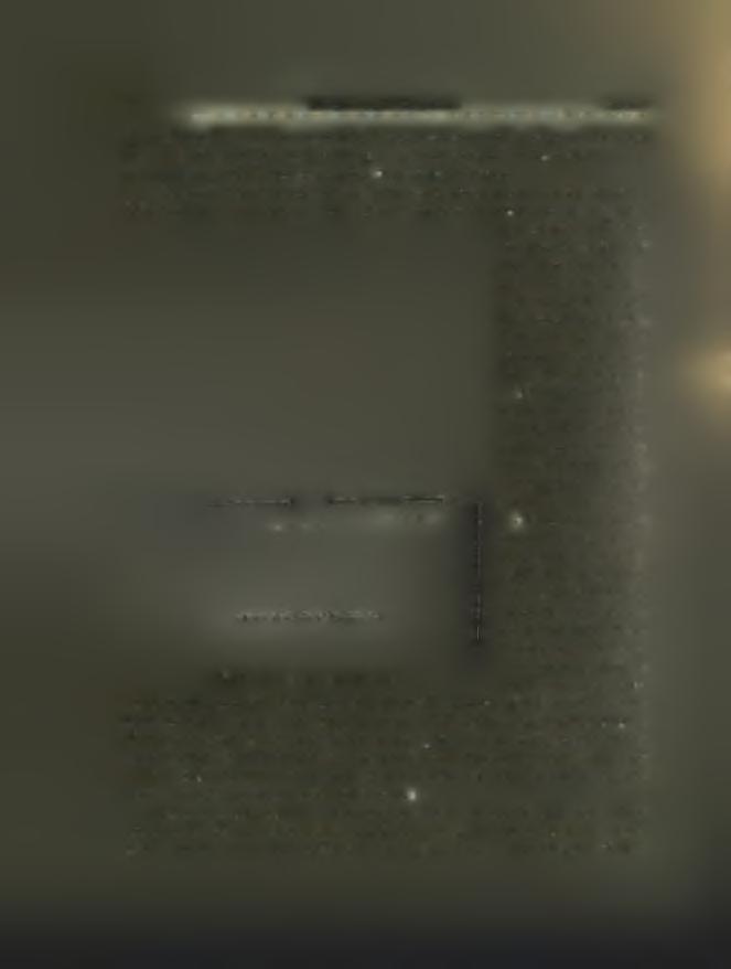 «Εντός τοϋ περιβόλου εύρέθησαν ολίγα μόνον ευρήματα (πήλινα καί στεατίτινα σφον- δύλια, τεμάχια χαλκών σκευών), τα οστά όμως διατηρούντο εις πολύ καλυτέραν κατάστασιν, τινά μάλιστα εύρίσκοντο καί