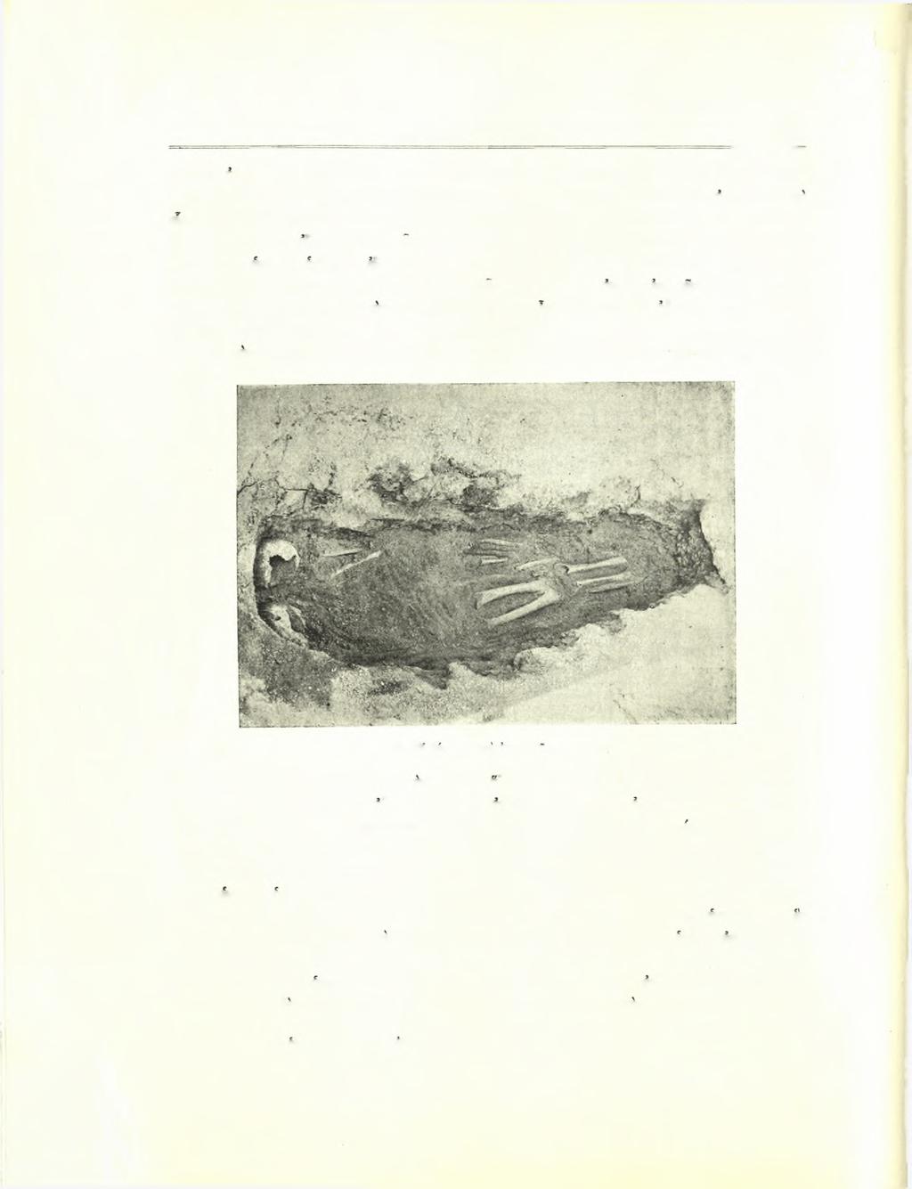 26 Σπυρίδωνος Ν. Μαρινάτου ΑΕ 1932 μικρών οστράκων άπέδωκεν. Ό Δ 4 ήτο έξαιρετικώς πλούσιος εις άγγεϊα.