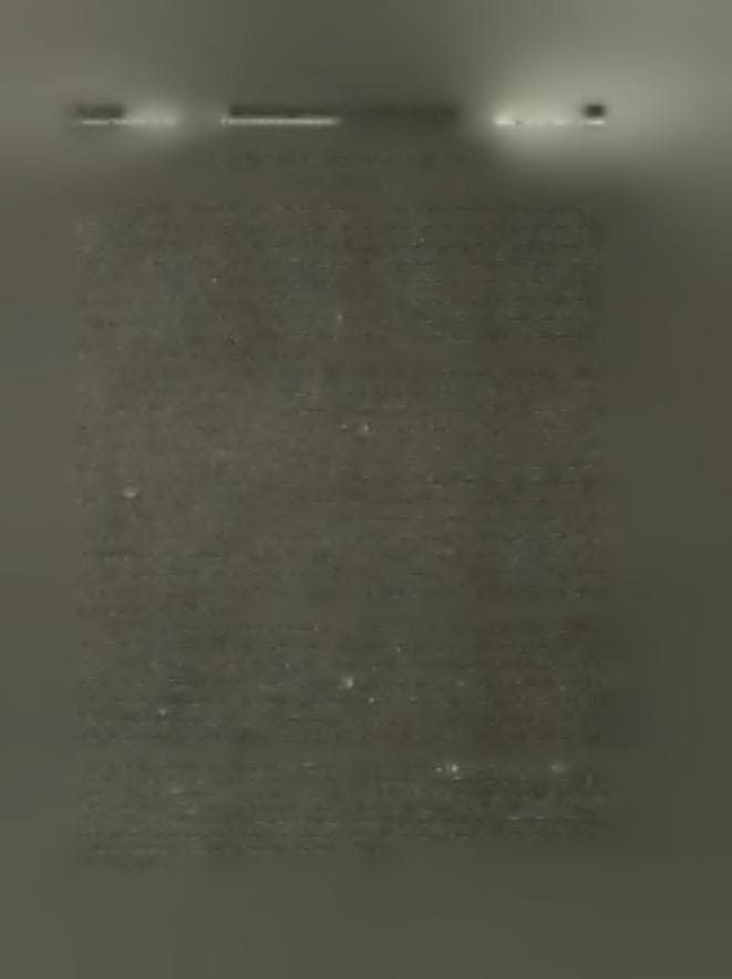 AE 1932 Αί άναβκαφαί Goekoop έν Κεφαλληνία 31 7.