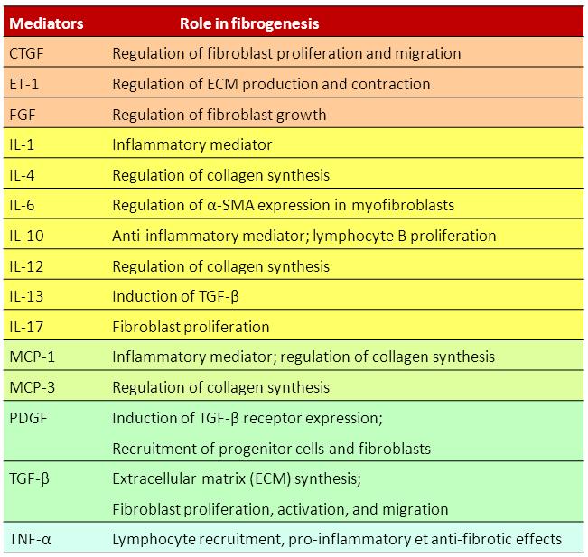 pathophysiology of systemic sclerosis.