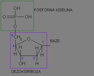 baza i šećer vezani