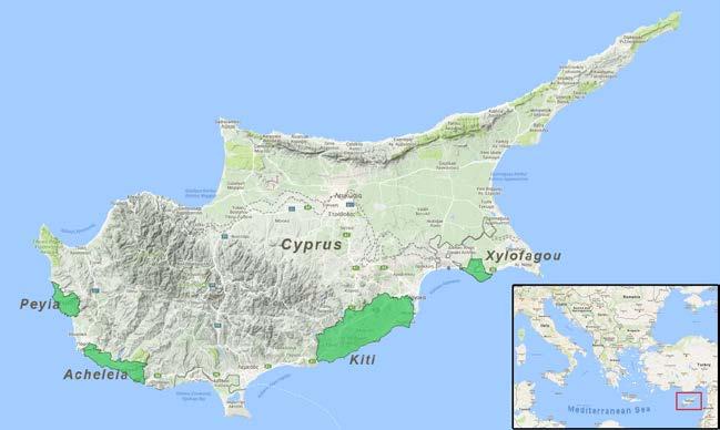 Πιλοτικές περιοχές-καλλιέργειες Crops-Cyprus olive