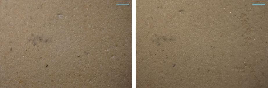 Εικόνες 65-66: Untreated - Treated δοκίμιο Πεντελικού μαρμάρου με τεχνητή πάτινα Κατά την παρατήρηση της επιφάνειας των δοκιμίων των διαφόρων υλικών όπως έχουν αποτυπωθεί από ψηφιακή κάμερα, δεν