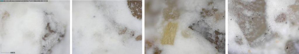 2. Φωτογράφηση με μικρο-στερεοσκόπιο 0,1mm a b c d Εικόνες 101 (α-d) : Untreated - tr Surfapore - tr SP -