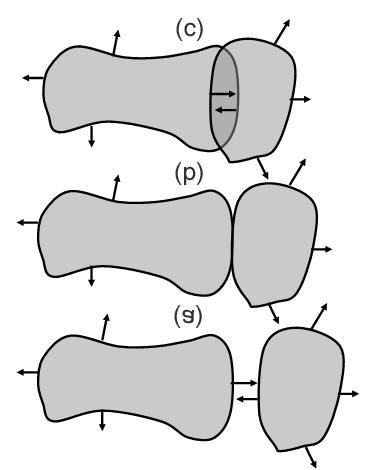 : 845 Γ F [2] : φ = F φ t,f Γ,F Malladi [3],F F, (3) Hamilton-Jacobi 22, ( ), Ω, ω 1, ω 2, ω 1 ω 2 =, ω 1 ω 2 ω 1 Γ 1,ω 2 Γ 2 (3),, : φ φ 1 2 = F1 φ1, = F2 φ 2 t t F 1 F 2,,,,