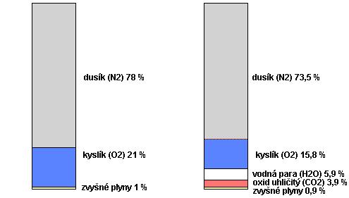 Chemické zloženie vzduchu Dusík (N 2 ) 78% Kyslík (O 2 ) 21% Vzácne