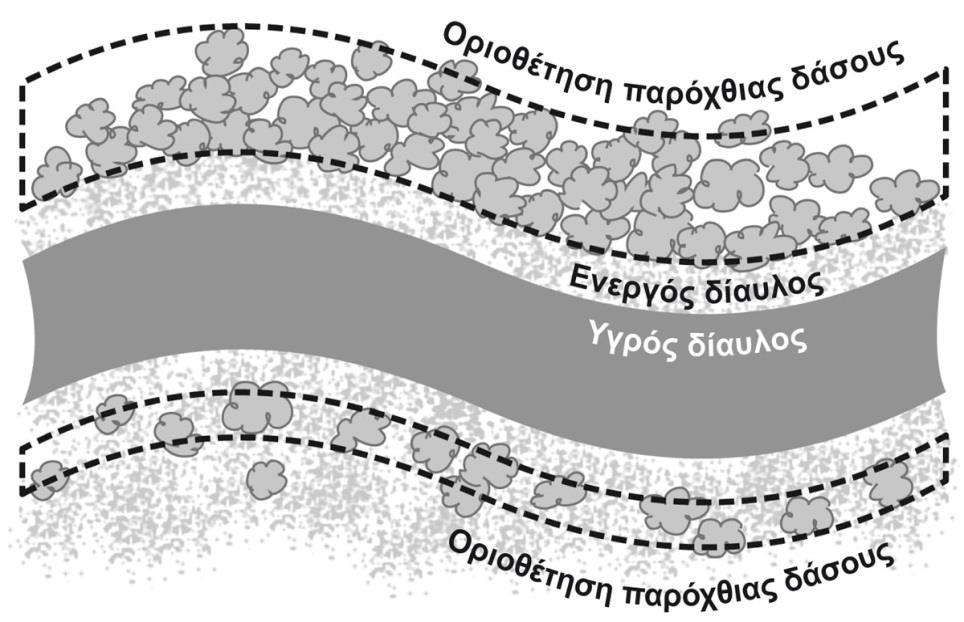 μικροανάγλυφο. Φυσικά, αυτά τα δύο γραμμικά, εννοιολογικά όρια συχνά είναι συγκεχυμένα, αλλά μπορούν να είναι χρήσιμοι οδηγοί για πρακτικούς σκοπούς καθορισμού και καταγραφής (Verry et al.