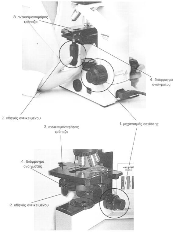 Εικ. 6- Τα μέρη του οπτικού μικροσκοπίου που αφορούν στην εστίαση.