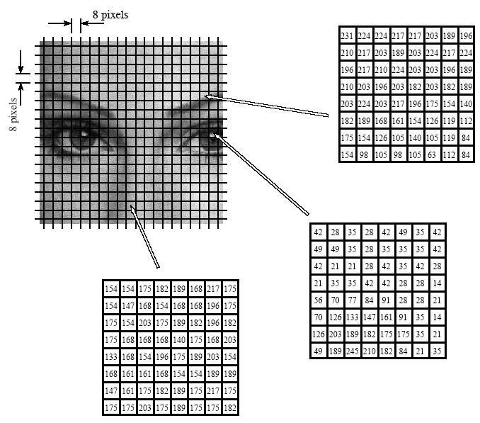Εικόνα 2.6. ιαχωρισµός εικόνας σε µπλοκ Βήµατα κωδικοποίησης της εικόνας 1. ιαιρούµε την αρχική µας εικόνας σε µπλοκ των 4x4 pixels.