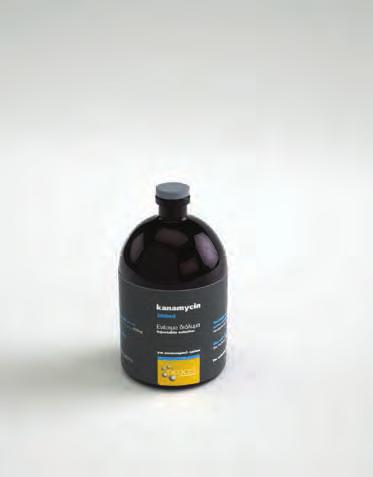 kanamycin 100 ml ANAFASIS Σύνθεση σε δραστικά συστατικά και άλλες ουσίες (ανά ml) Δραστικό (ά) Έκδοχα ΑΜΚ 17301 / 6-6-1994 Kanamycin base
