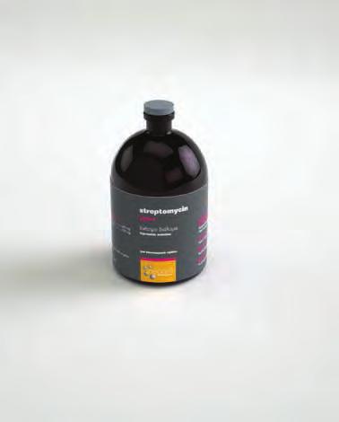 streptomycin 100 ml ΤΕΤΟROS ΑΜΚ 78493/07-12-10 Σύνθεση σε δραστικά συστατικά και άλλες ουσίες (ανά ml) Δραστικό (ά) Έκδοχα Streptomycin