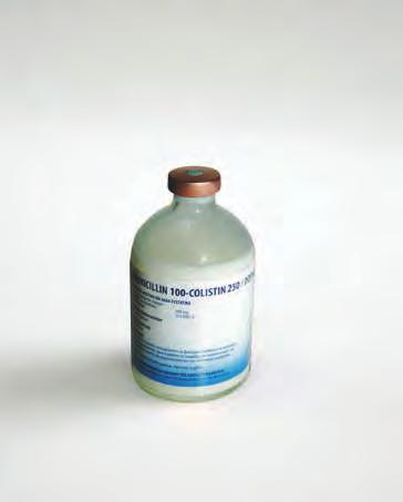 amoxycol 100 ml DOPHARMA ΑΜΚ 36984/02-12-1992 Σύνθεση σε δραστικά συστατικά και άλλες ουσίες (ανά ml) Δραστικό (ά) Έκδοχα