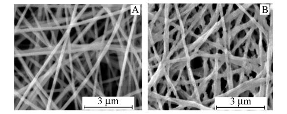 4 6 - A 505. 5 mg 6 RSD = 3. 2% 3.. 2 ph ph BPA 6 ph BPA 6 BPA 6 ph 3 3B ph 4 ~ BPA 4 ph = 8 3 6 ph 8 A ph 3 B 3.. 3 Fig.