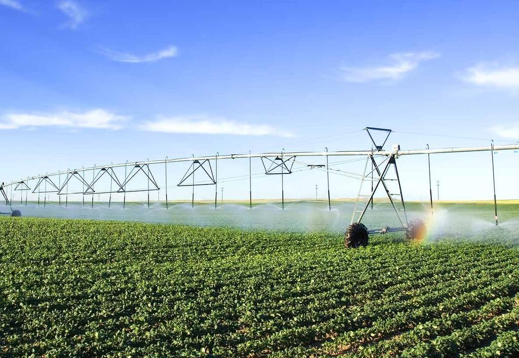 Vermindering van die elektrisiteitskoste van aartappelproduksie onder besproeiing in Limpopo Isobel van der Stoep: Bioresources Consulting, prof.