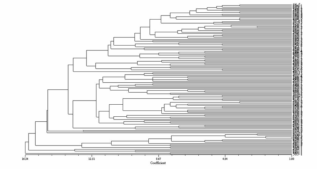 10. attēls Paplašinātā veidā šī dendrogramma parādīta 6. pielikumā.