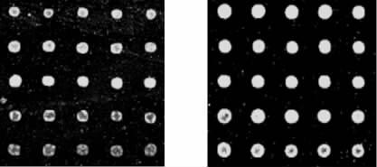 Amplified fragments of RD-gradient PCR Fig Scanning results of optimized microarray hybridization A Sample of HPV6 B Sample of HPV C Sample of HPV6 D Sample of HPV8 E Sample of human DNA A B A ~5 H6