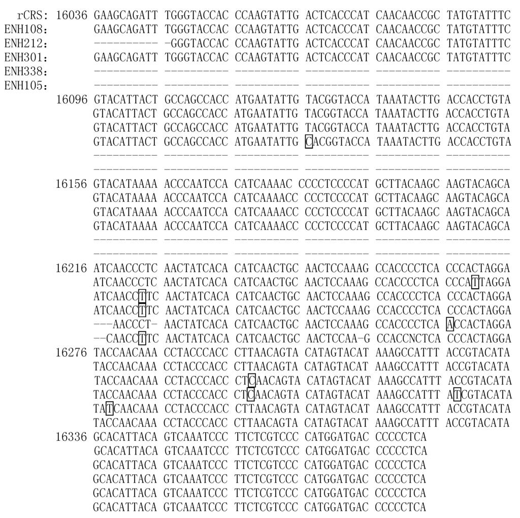 2 : 127 2 Tab 2 Haplogroups of Enshi Cliff Coffin samples Haplogroup HVSI Motif ( + 16000) ( ) ENH301 C 126 223 298 327 1000 ENH338 GΠD NA 266A 278 1000 ENH105 M 3 NA 223 1000 ENH212 M8 3 223 298