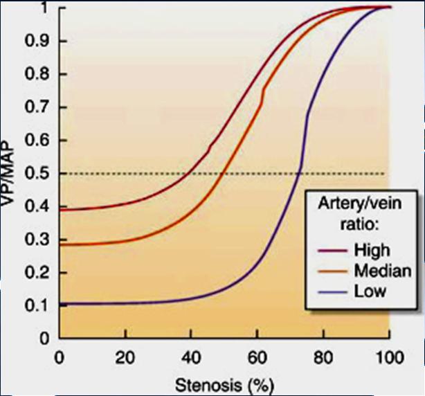 CE. Vascular access
