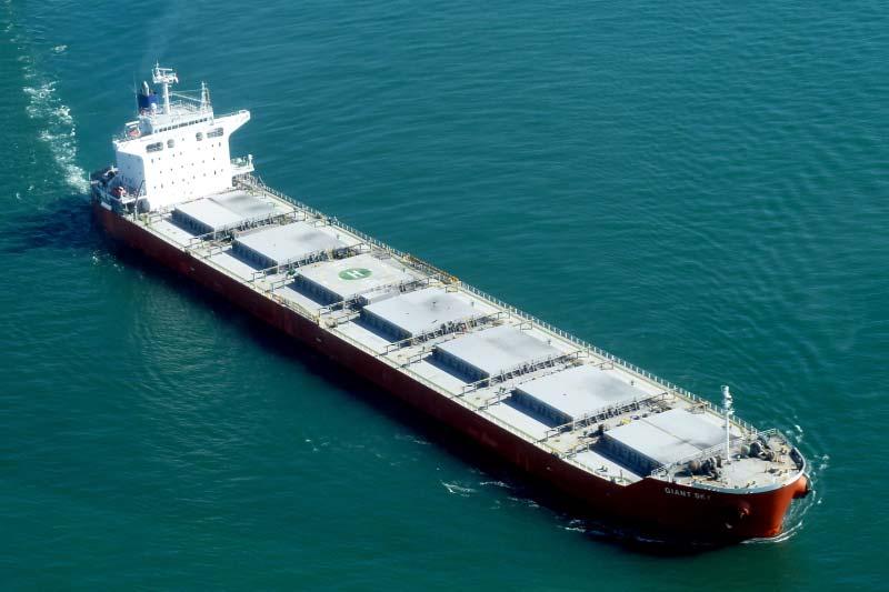 hope ή το Cape Horn Πίνακας 2-1: Tα πλοία μεταφοράς χύδην ξηρού φορτίου (Bulk Carries) Πηγή: