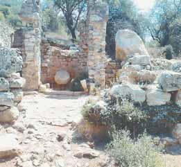 Στη δήλωσή του, ο Δήμος Βερύκιος ζητεί, συντετριμμένος, συγγνώμη για το σφάλμα που διέπραξε και τόνισε πως παραπλανήθηκε επειδή έψαχνε γρήγορα μια φωτογραφία στο Διαδίκτυο.