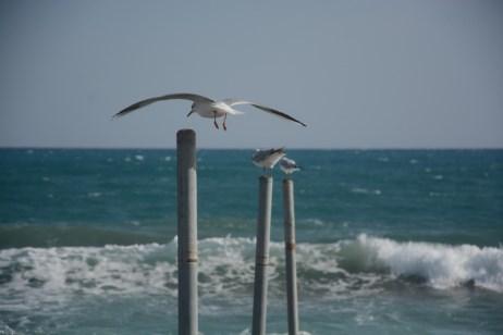 Ο διαγωνισμός 6 Φωτο ώρες διαφέρει από τους κλασσικούς Φωτογραφικούς Διαγωνισμούς, μια και θέτει χρονικά όρια, όπως το