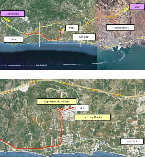 ΤΑΧΥΔΡΟΜΙΚΗ ΔΙΕΥΘΥΝΣΗ Δηµοκρίτειο Πανεπιστήµιο Θράκης Τµήµα Μοριακής Βιολογίας και Γενετικής, 6 o χλµ Αλεξανδρούπολης-Μάκρης