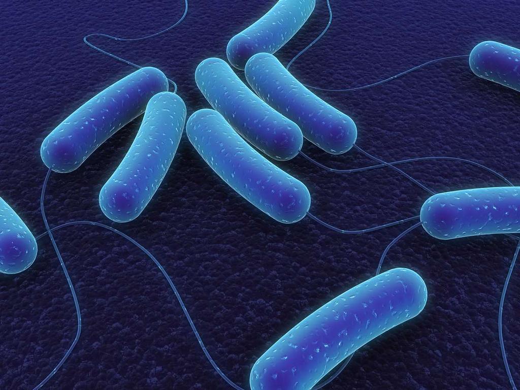 Dlhodobé nadmerné používanie antibiotík vznik rezistencie na takmer všetky