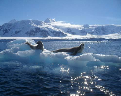 (continental shelves): Τα Chukchi Shelf * και Beaufort Shelf * κατά μήκος της Βόρειας Αμερικής. Το Lincoln Shelf κατά μήκος της Β. Γροιλανδίας.