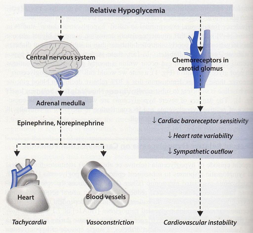 Sympatoadrenergná a karotická