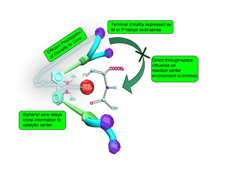 Supporting Information Folding-Driven Asymmetric Induction of a Catalytic Dendrimer Jianfeng Yu, T.V. RajanBabu* and Jon R. Parquette* Department of Chemistry, The hio State University100 W.