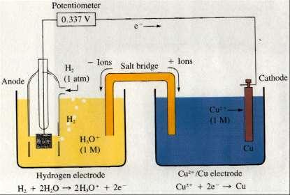 Elektródový potenciál Absolútne hodnoty potenciálov nemožno merať.