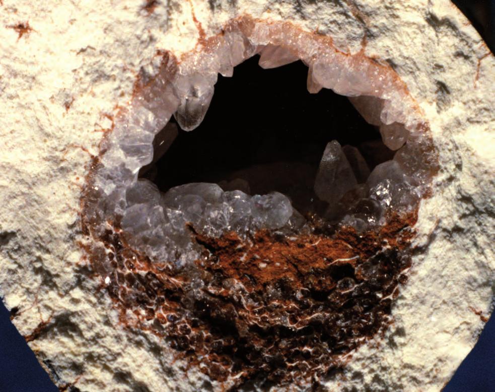 Οι πρώτες ανακαλύψεις Τα πρώτα απολιθώματα σπονδυλοζώων στο Πικέρμι αποκαλύφθηκαν τον Νοέμβριο του 1836, όταν ο George Finlay, περιηγούμενος την Αττική, βρέθηκε εκεί.