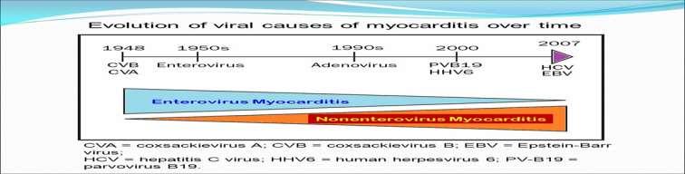 adenovirus (8-23%) parvovirus B19 human