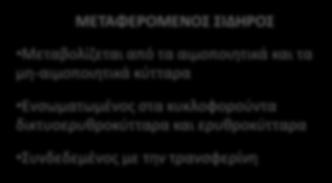 Ορισμός της σιδηροπενίας: Δείκτες αποθήκευσης και αξιοποίησης του σιδήρου