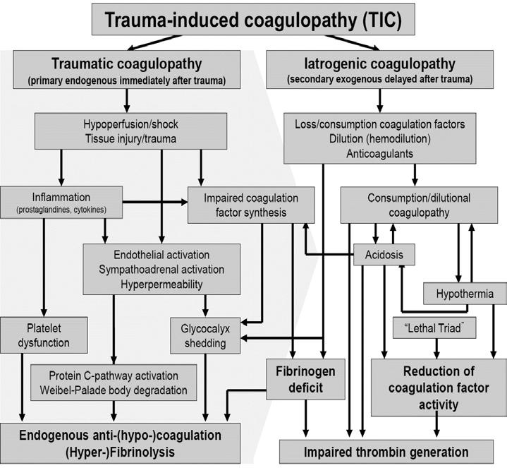 Διαταραχές αιμόστασης Οι διαταραχές της αιμόστασης (Trauma-Induced Coagulopathy, TIC ή Acute Trauma Coagulopathy) εμφανίζονται σε πολυτραυματίες κατά τη μεταφορά τους στα ΤΕΠ, σε ποσοστό έως και 30%.