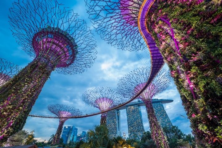 7η ΗΜΕΡΑ: ΚΟΥΤΣΙΝΓΚ - ΣΙΓΚΑΠΟΥΡΗ Μεταφορά στο αεροδρόμιο και πτήση για την Σιγκαπούρη, μία από τις πιο ανεπτυγμένες και οργανωμένες πόλεις στον κόσμο.