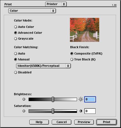 Print Options - Color (Επιλογές εκτύπωσης Χρώμα) Color Mode (κατάσταση χρώματος) Κατάσταση χρώματος Auto Color (Αυτόματο χρώμα) Advanced Color (Προηγμένο χρώμα) Grayscale (Κλίμακα του γκρίζου)