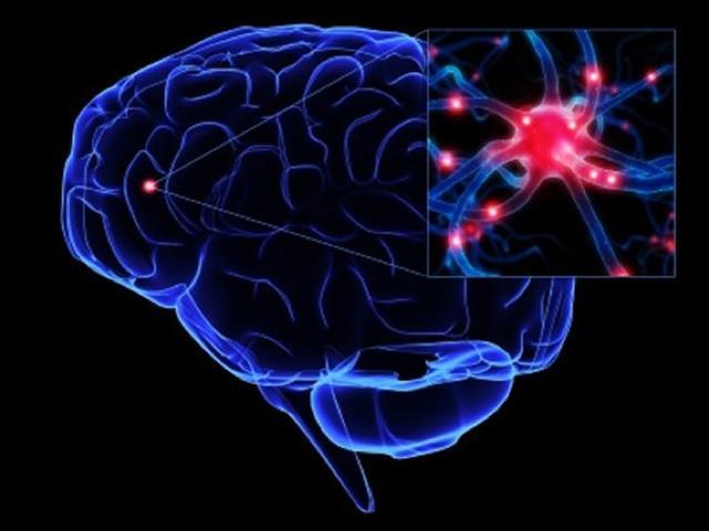 prin impulsuri electrice generate in creier http://phenomena.