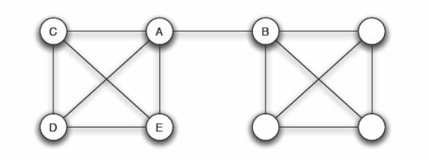Γέφυρες Το άτομο A έχει 4 φίλους ένας από τους οποίους είναι ποιοτικά διαφορετικός από τους άλλους -Ο A συνδέεται με τους C, D και E σε