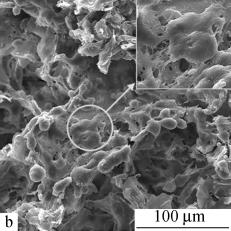 comparison of cell activity on the same type of scaffolds at different culture time