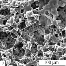 5 a 5 a 5 b 5 b 5 PHBHHx 5c SF /PHBHHx 5d 5 d Fig 5 SEM observation of HUVECs