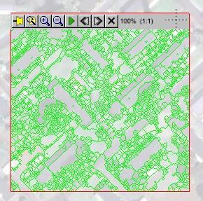 Figure 3: Segmentation results (green) using a Scale Level of 30. The transparency of the image layer was increased to better show the segments. 3. Click Next to segment the entire image.