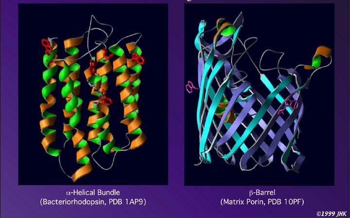 Supersecondary Protein