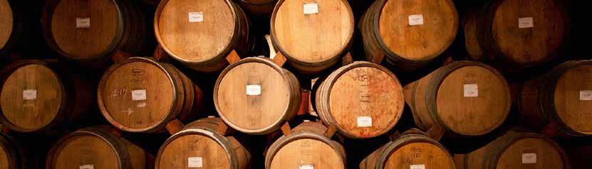 NO BRETT INSIDE POŠTUJTE ISTINSKI KARAKTER VAŠEG VINA Novo sredstvo za borbu protiv Brettanomycesa, te za očuvanje prirodnih aroma u vinu.