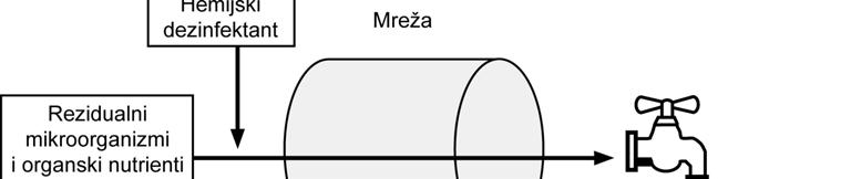 MIKROBNI RAST I DEZINFEKCIJA MREŽE Obično čak i u biološki čistim mrežama može se detektovati prisustvo od 10 4 bakterija/cm 2 površine cevi, dok se u biološki prljavim sistemima ovaj broj