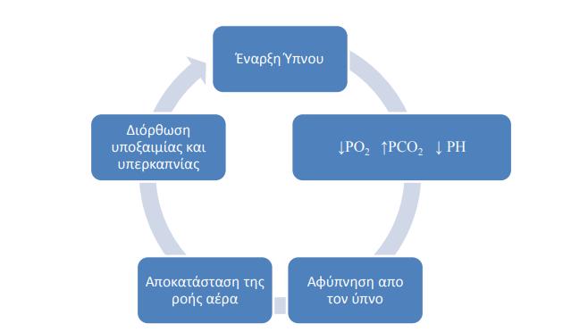 Εικόνα 2. Ο συνεχής κύκλος των γεγονότων ΣΑΥ Πηγή: http/www.myorl.gr 2.