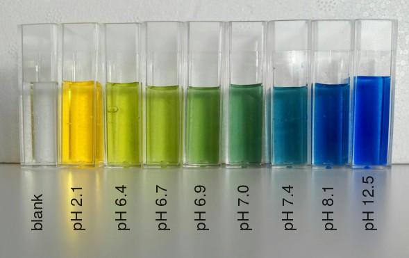 Μπλε της βρωμοθυμόλης Τα χρώματα που παίρνει εξαρτώνται από το ph, όπως φαίνεται στις επόμενες εικόνες. Μπλε της βρωμοθυμόλης ph ph μικρότερο μεγαλύτερο του του 6.0 7.6 6.0 κίτρινο 7.6 μπλε Πηγές 1.