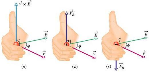 Om die rigting v/d Magnetiese krag op die deeltjie te bepaal F = duim B = palm v = rigting v vingers Fig.
