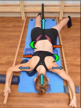 Schroth method BSPTS RCT Schreiber et al 2017 Schroth Physiotherapeutic Scoliosis-Specific Exercises added to the standard of care lead to better Cobb