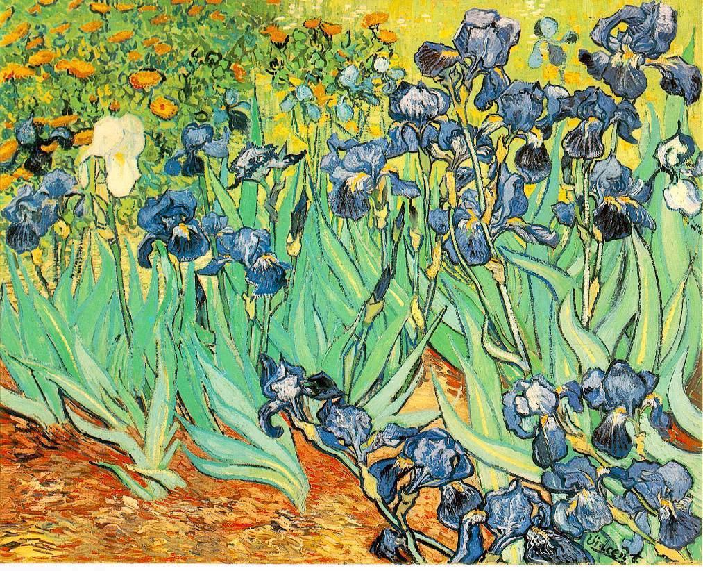 Εξαιρέσεις (στη Java) Vincent van Gogh, Irises, 1889 Κωστής